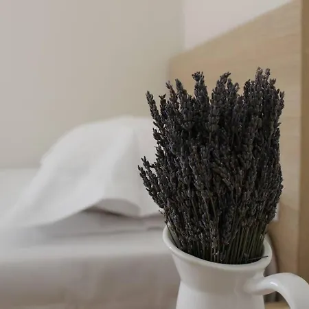 Apartamento Lavandula Ring *