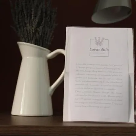 Lavandula Ring Apartmán