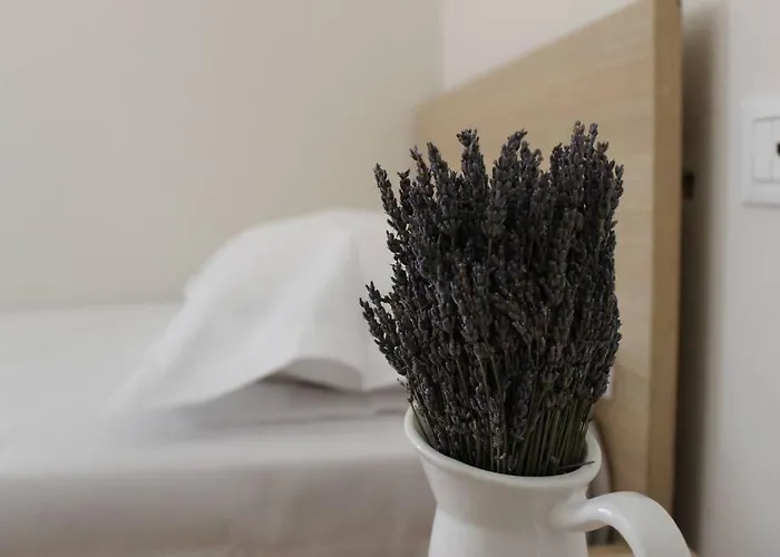 Daire Lavandula Ring *