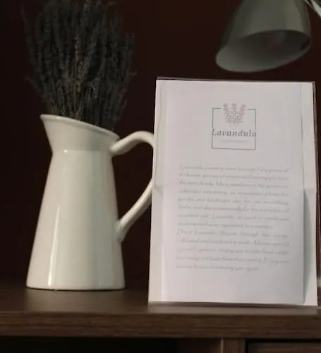 Lavandula Ring Daire