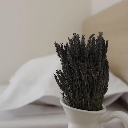 Lavandula Ring Apartment