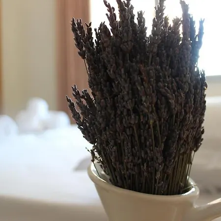 Apartment Lavandula Ring Tirana