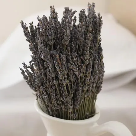 Apartment Lavandula Ring *