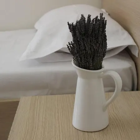 Lavandula Ring 티라나