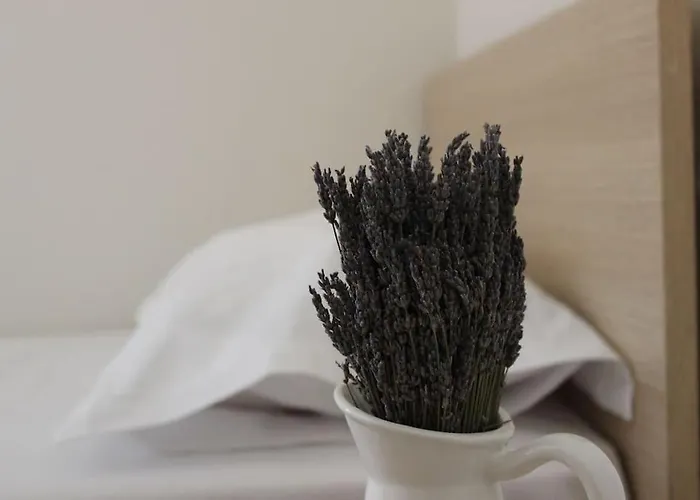 Lavandula Ring Appartement