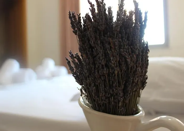 Διαμέρισμα Lavandula Ring Τίρανα